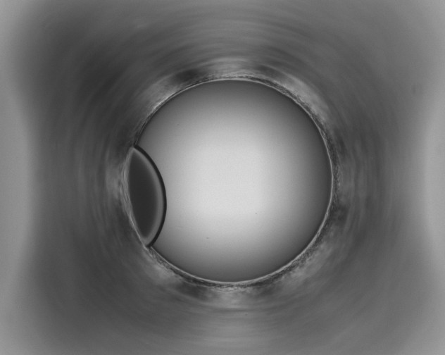 X0000116100897200911301100