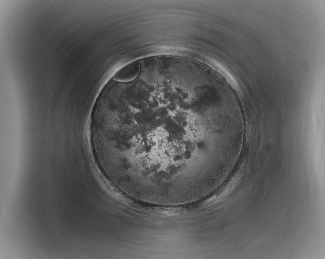 X0000116100899200911301100