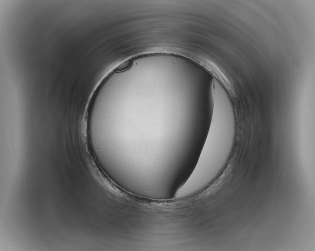 X0000116100900200911301100