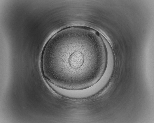 X0000116100901200911301100