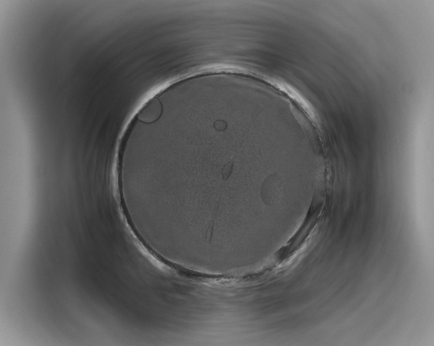 X0000116100902200911301100