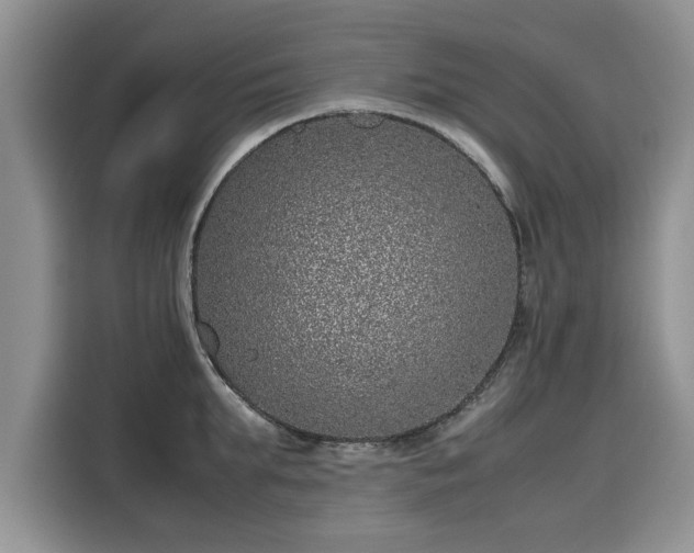 X0000116100903200911301100