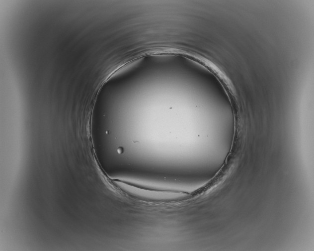 X0000116100905200911301100