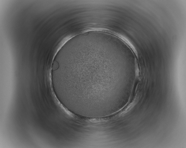 X0000116100906200911301100