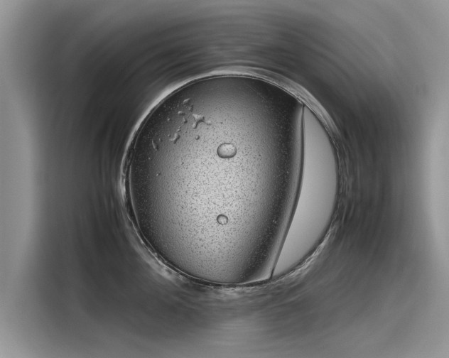 X0000116100908200911301100