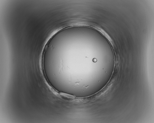 X0000116100909200911301100