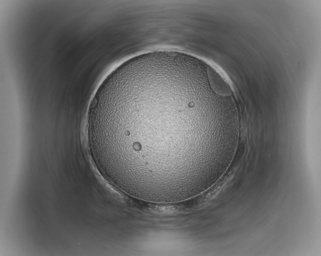 X0000116100911200911301100