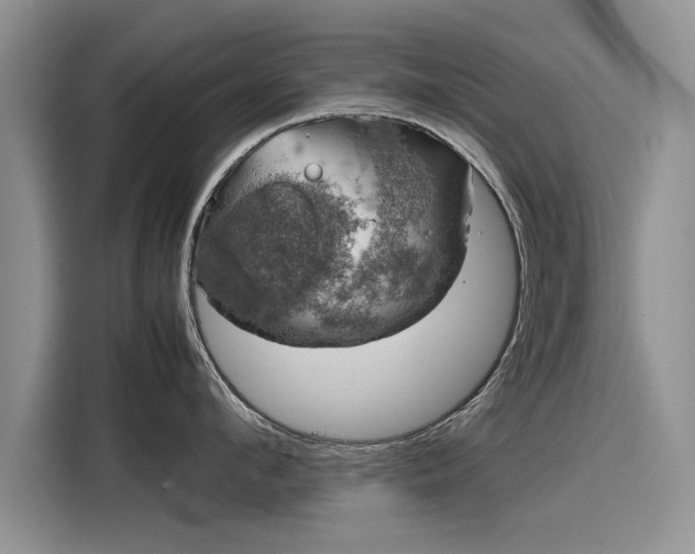 X0000116100912200911301100