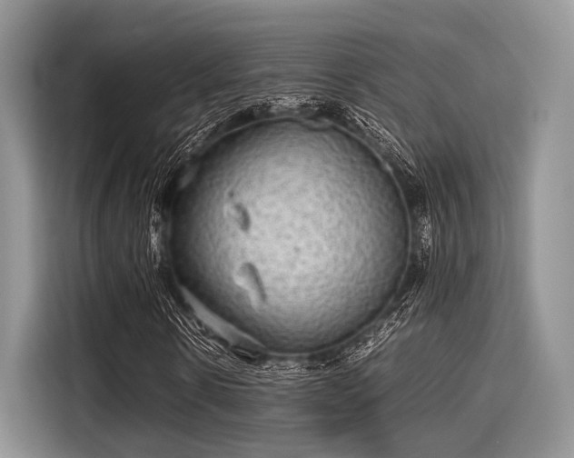 X0000116100914200911301059