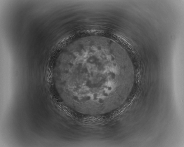 X0000116100917200911301059