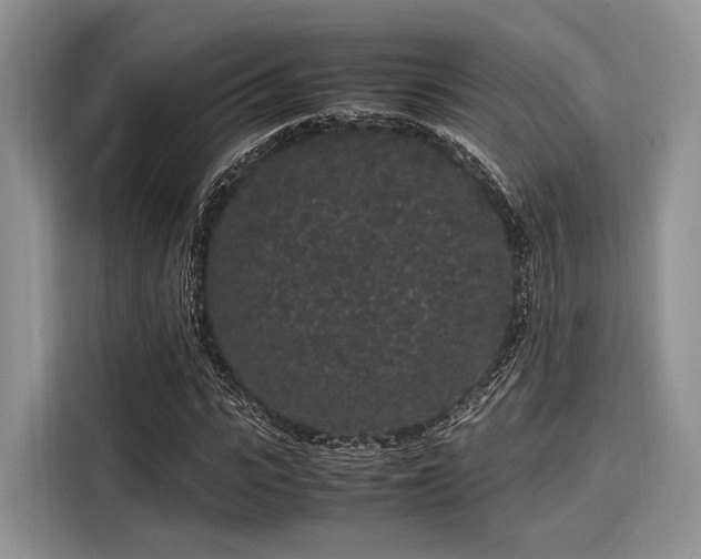 X0000116100919200911301059