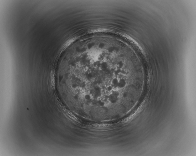 X0000116100921200911301059