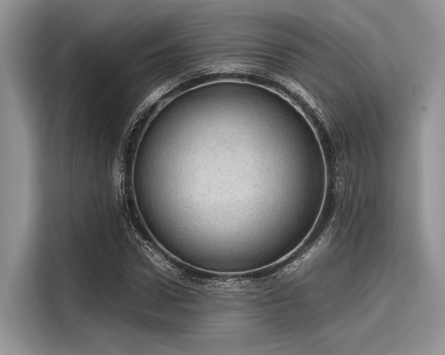 X0000116100922200911301059