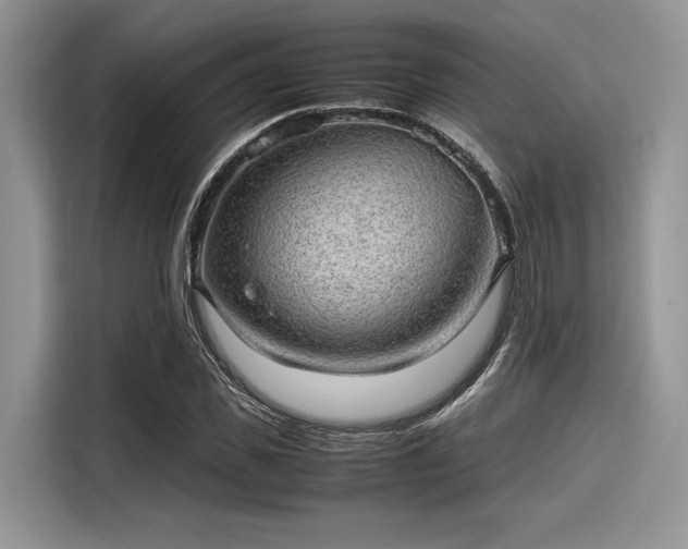 X0000116100925200911301059