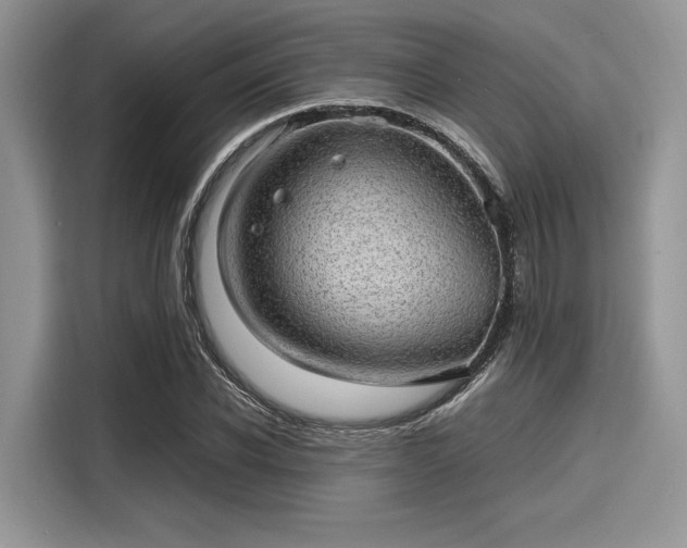 X0000116100926200911301100