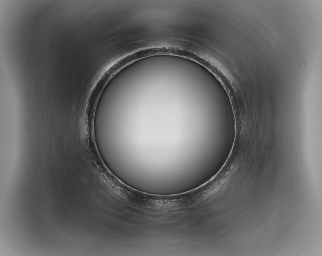 X0000116100927200911301100