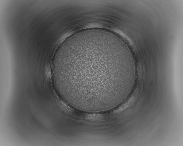 X0000116100929200911301100