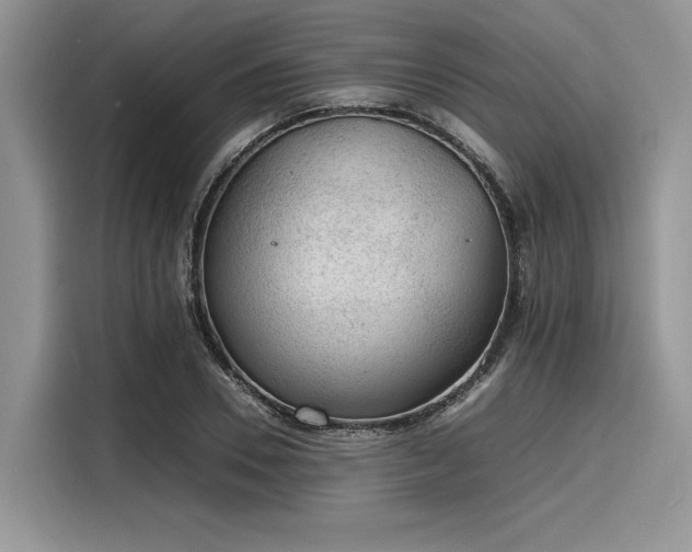 X0000116100930200911301100