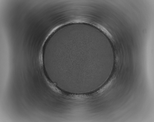 X0000116100934200911301100