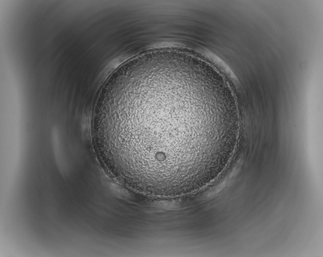 X0000116100937200911301100