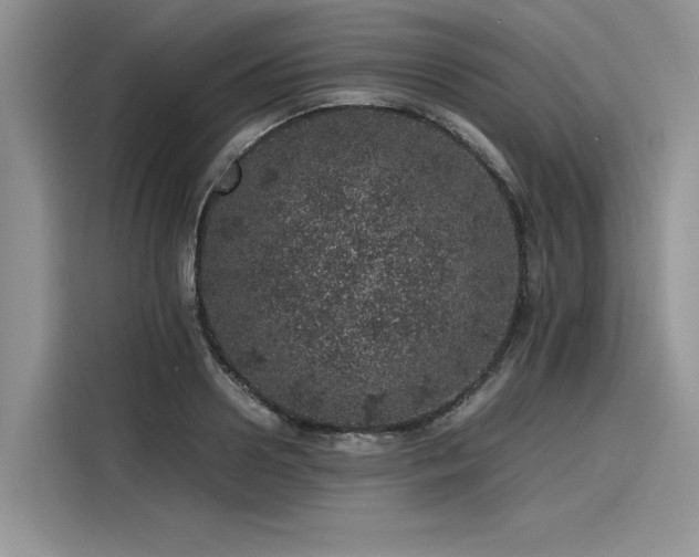 X0000116100938200911301100