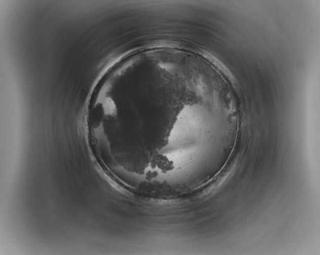 X0000116100941200911301100