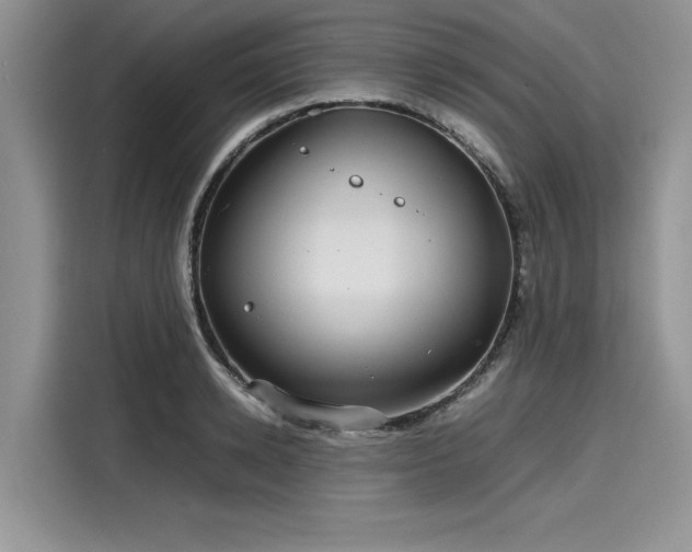 X0000116100942200911301100