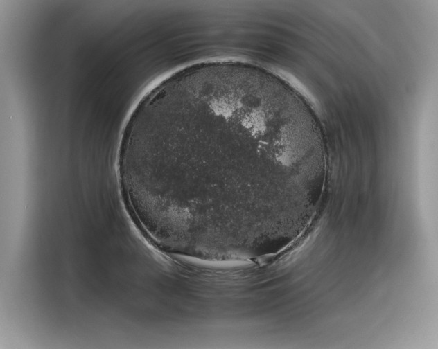 X0000116100943200911301100