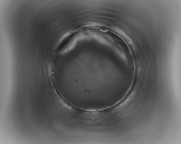 X0000116100945200911301100