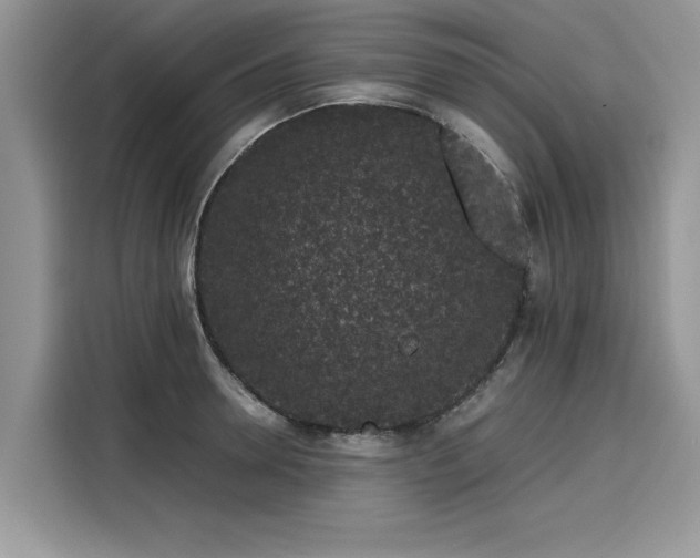 X0000116100946200911301100