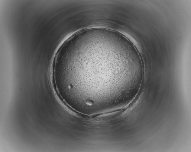 X0000116100949200911301100