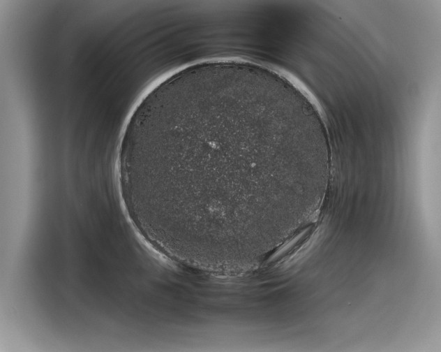 X0000116100951200911301100