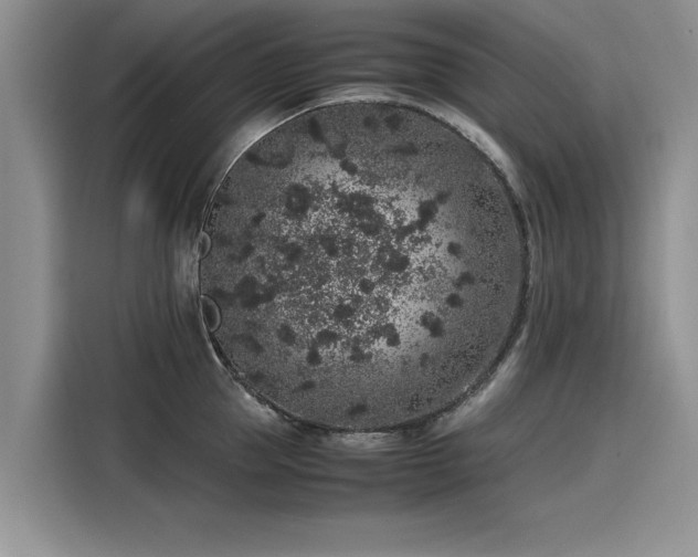 X0000116100953200911301100