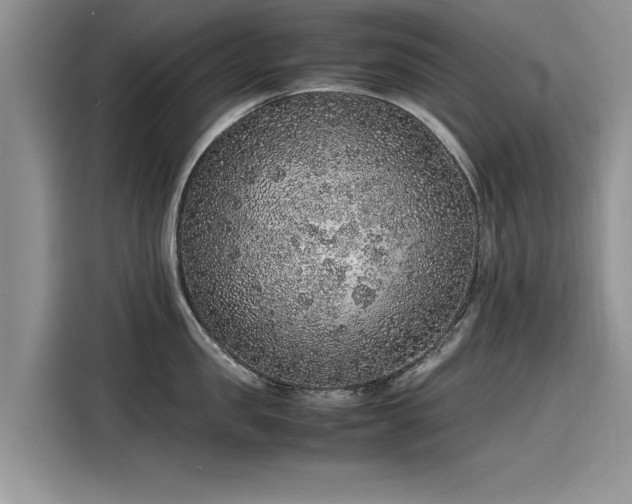 X0000116100957200911301100