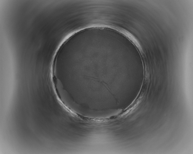 X0000116100958200911301100