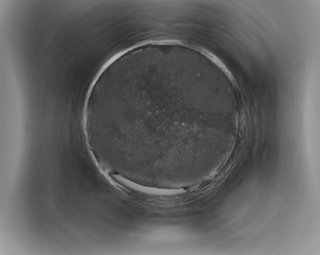 X0000116100959200911301100