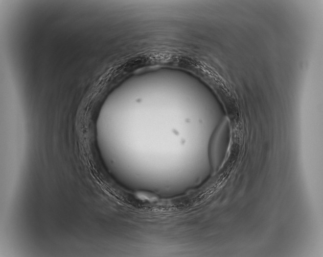 X0000116100961200911301059