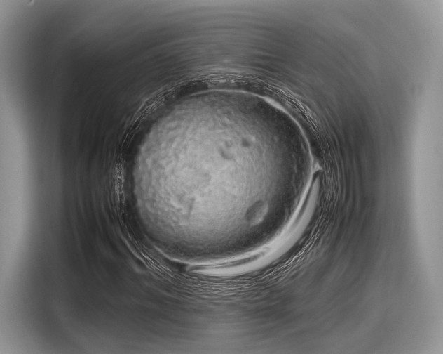 X0000116100964200911301059