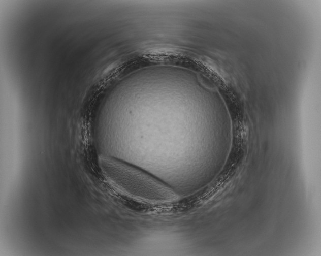 X0000116100965200911301059