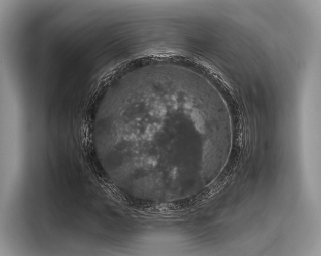 X0000116100966200911301059