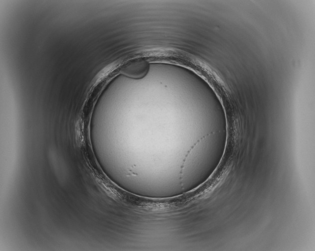 X0000116100970200911301059