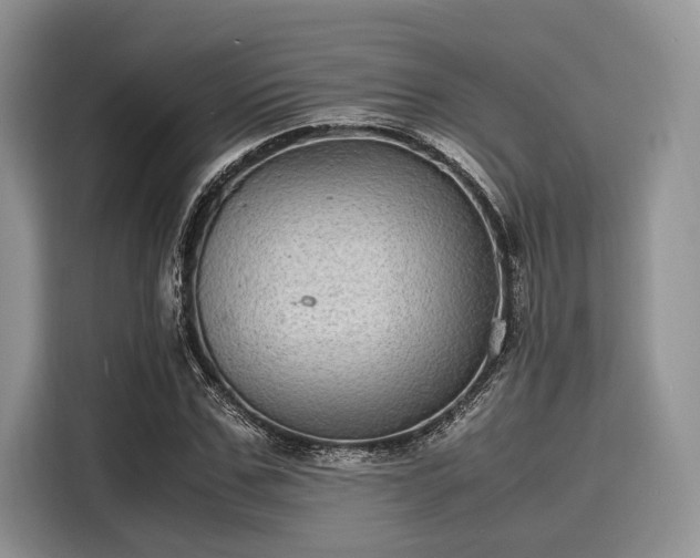 X0000116100971200911301059