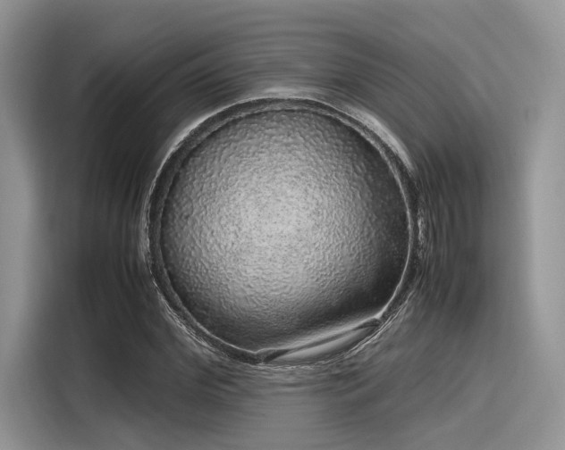 X0000116100972200911301059