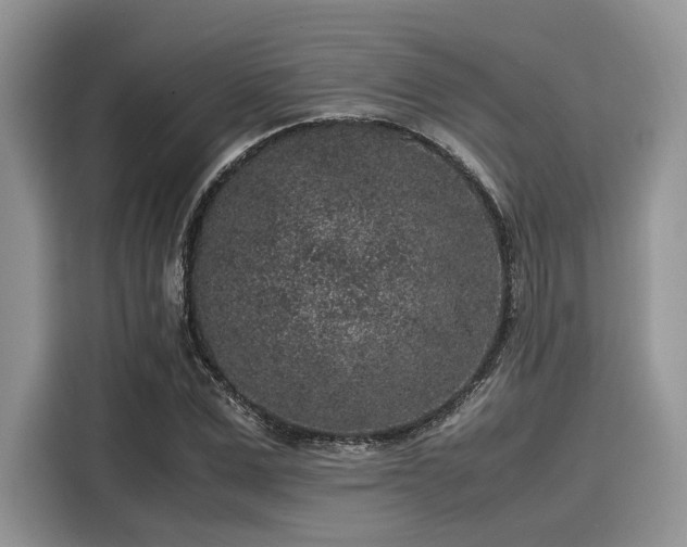 X0000116100975200911301059