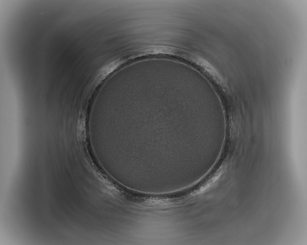 X0000116100977200911301059