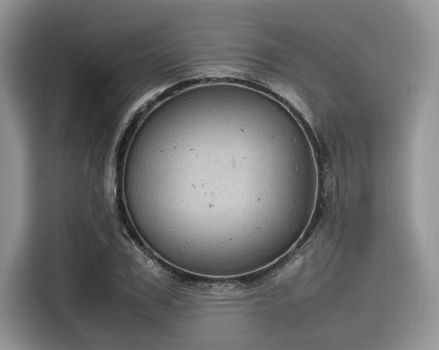 X0000116100979200911301059