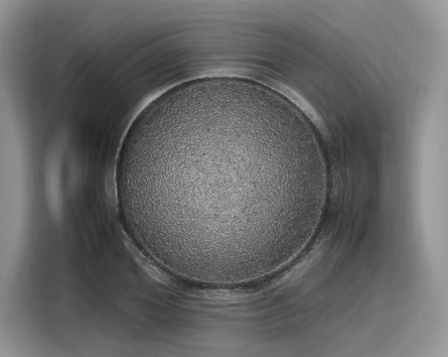 X0000116100980200911301059