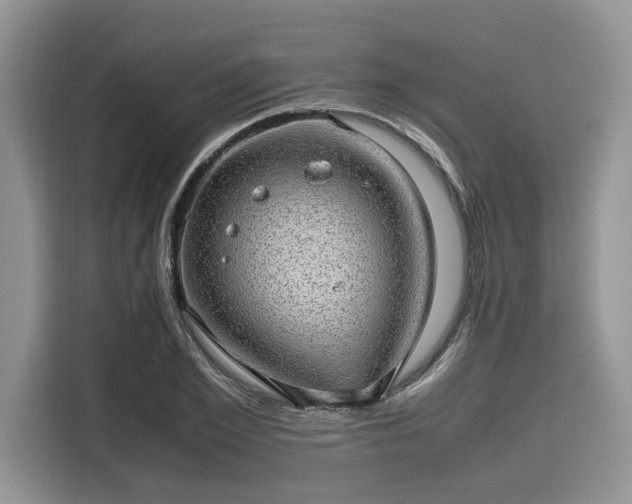 X0000116100981200911301059