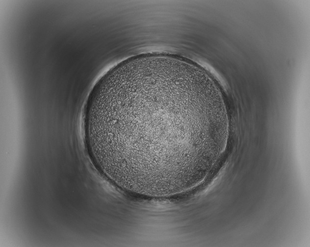 X0000116100983200911301059