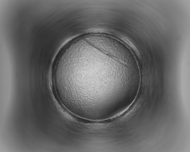 X0000116100984200911301059
